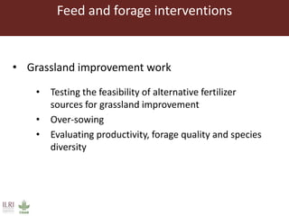 Feed and forage interventions
• Grassland improvement work
• Testing the feasibility of alternative fertilizer
sources for grassland improvement
• Over-sowing
• Evaluating productivity, forage quality and species
diversity
 
