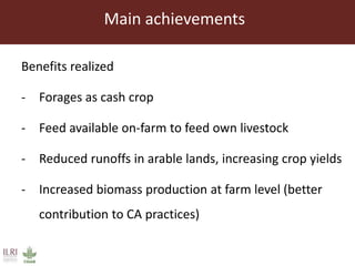 Main achievements
Benefits realized
- Forages as cash crop
- Feed available on-farm to feed own livestock
- Reduced runoffs in arable lands, increasing crop yields
- Increased biomass production at farm level (better
contribution to CA practices)
 