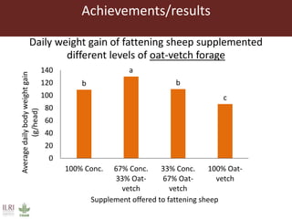 Achievements/results
b
a
b
c
0
20
40
60
80
100
120
140
100% Conc. 67% Conc.
33% Oat-
vetch
33% Conc.
67% Oat-
vetch
100% Oat-
vetch
Averagedailybodyweightgain
(g/head)
Supplement offered to fattening sheep
Daily weight gain of fattening sheep supplemented
different levels of oat-vetch forage
 