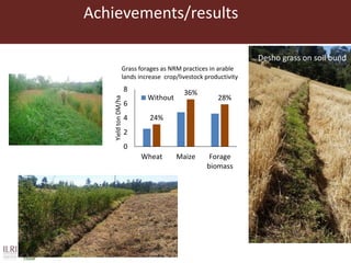 Achievements/results
24%
36%
28%
0
2
4
6
8
Wheat Maize Forage
biomass
YieldtonDM/ha
Without
Desho grass on soil bund
Grass forages as NRM practices in arable
lands increase crop/livestock productivity
 