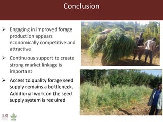 Conclusion
 Engaging in improved forage
production appears
economically competitive and
attractive
 Continuous support to create
strong market linkage is
important
 Access to quality forage seed
supply remains a bottleneck.
Additional work on the seed
supply system is required
 
