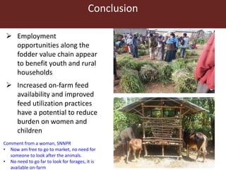 Conclusion
 Employment
opportunities along the
fodder value chain appear
to benefit youth and rural
households
 Increased on-farm feed
availability and improved
feed utilization practices
have a potential to reduce
burden on women and
children
Comment from a woman, SNNPR
• Now am free to go to market, no need for
someone to look after the animals.
• No need to go far to look for forages, it is
available on-farm
 