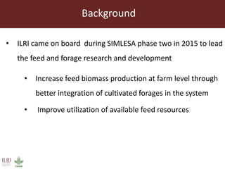 Background
• ILRI came on board during SIMLESA phase two in 2015 to lead
the feed and forage research and development
• Increase feed biomass production at farm level through
better integration of cultivated forages in the system
• Improve utilization of available feed resources
 