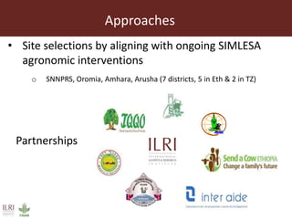 Approaches
• Site selections by aligning with ongoing SIMLESA
agronomic interventions
o SNNPRS, Oromia, Amhara, Arusha (7 districts, 5 in Eth & 2 in TZ)
Partnerships
 