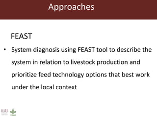 • System diagnosis using FEAST tool to describe the
system in relation to livestock production and
prioritize feed technology options that best work
under the local context
FEAST
Approaches
 