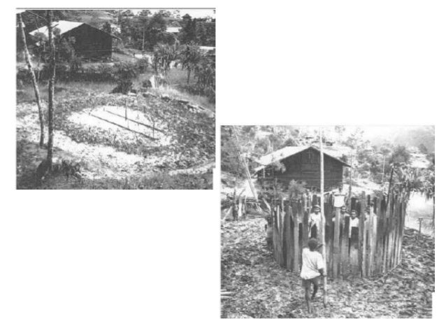 Arsitektur tradisional papua (honai)