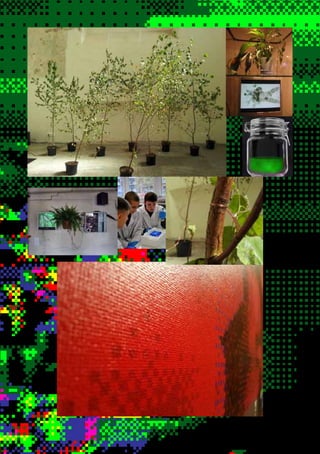 Michal Brzezinski - AFFECTIVE PAINTING