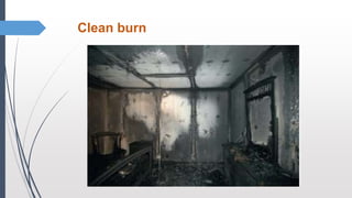 Arson and investigation.pptx