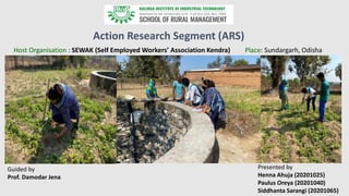 Action Research Segment (ARS)
Host Organisation : SEWAK (Self Employed Workers’ Association Kendra) Place: Sundargarh, Odisha
Guided by
Prof. Damodar Jena
Presented by
Henna Ahuja (20201025)
Paulus Oreya (20201040)
Siddhanta Sarangi (20201065)
 
