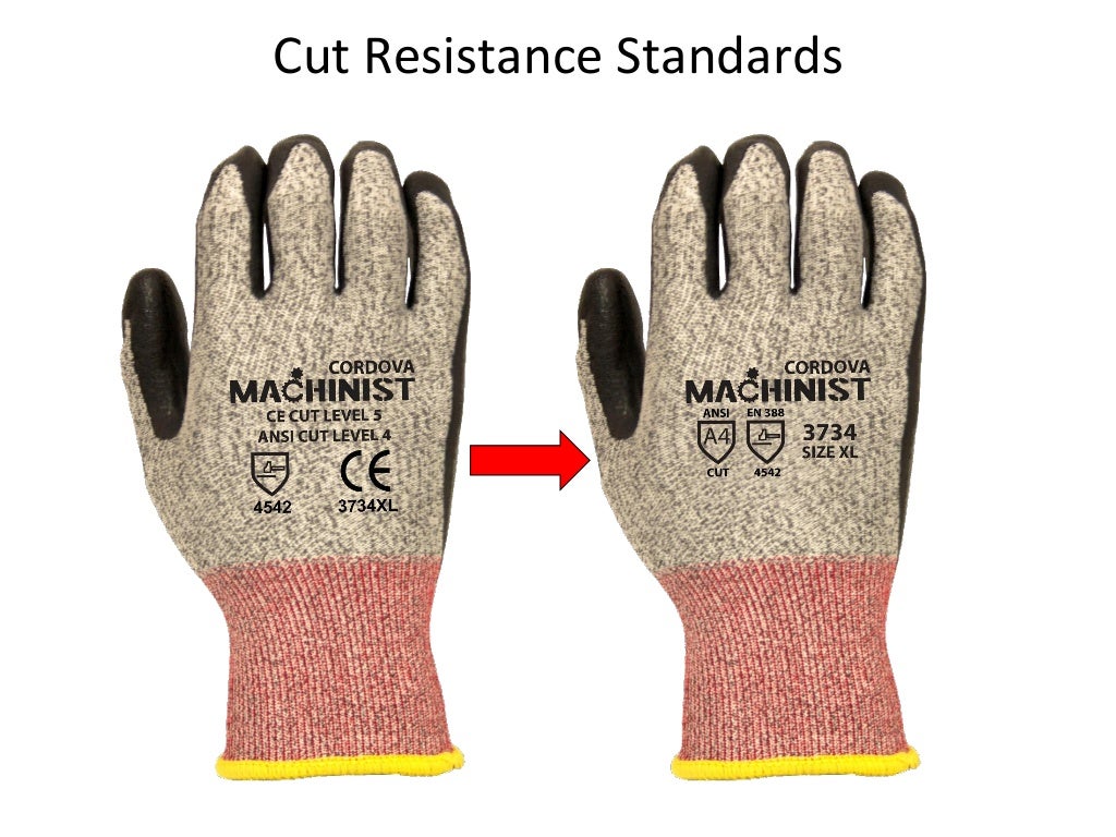 Hand Protection Overview