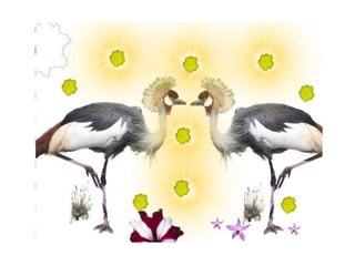 Kindergarten Artistry