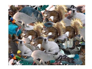 Kindergarten Artistry