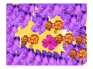 Kindergarten Artistry