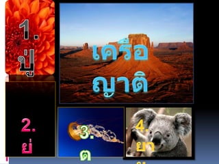1.ปู่เครือญาติ2.ย่า4.ยาย3.ตา