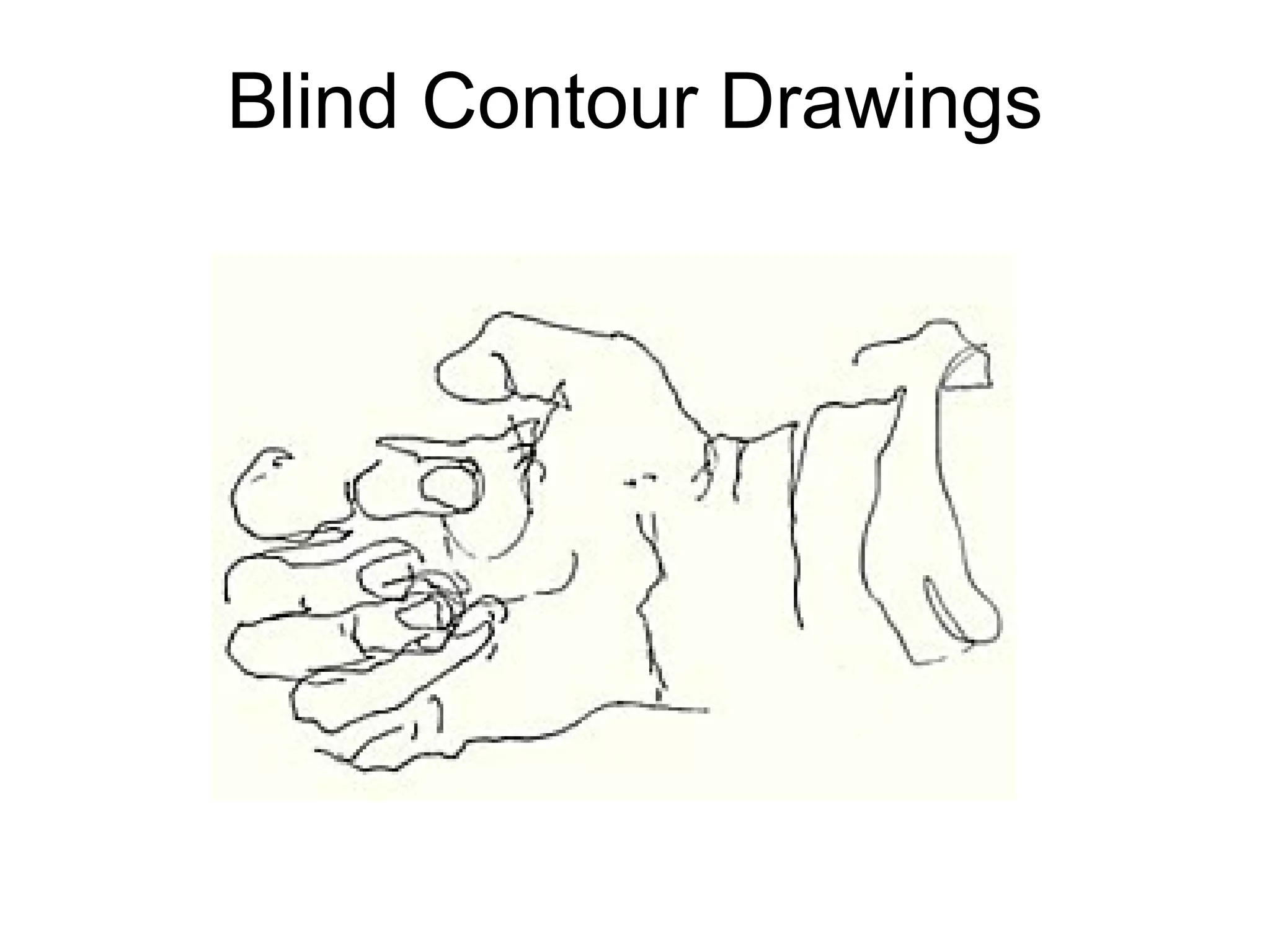 Blind Contour Drawings 