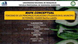 MAPA CONCEPTUAL
TOXICIDAD DE LOS PRINCIPALES PLAGUICIDAS UTILIZADOS EN EL MUNICIPIO
DE POPAYÁN, USANDO Bacillus subtillis
UNIVERSIDAD NACIONAL DE MOQUEGUA
ESCUELA PROFESIONAL DE INGENIERIA AMBIENTAL
ELABORADO POR:
TICONA MIRANDA YESSICA K.
DOCENTE:
Dr. SOTO GONZALES HEBERT HERNAN
CURSO:
BIOTECNOLOGIA
SEMESTRE
VII
MOQUEGUA – PERÚ
ENERO - 2021
 