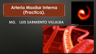 Arteria Maxilar Interna
(Practica).
 