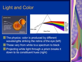 Light and Color The physics: color is produced by different wavelengths striking the retina of the eye (left) These vary from white to a spectrum to black Projecting white light through a prism breaks it down to its constituent hues (right) 