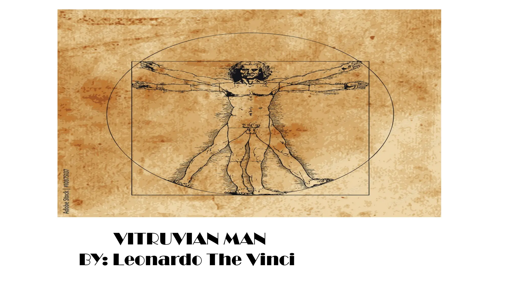 VITRUVIAN MAN
BY: Leonardo The Vinci
 
