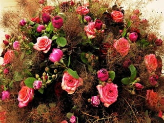 Art daniel  ost  ildy new