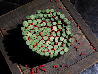 Art daniel  ost  ildy new