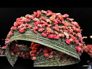 Art daniel  ost  ildy new