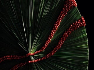 Art daniel  ost  ildy new