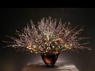 Art daniel  ost  ildy new