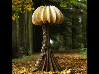 Art daniel  ost  ildy new