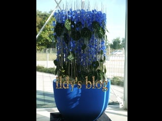 Art daniel  ost  ildy new