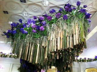 Art daniel  ost  ildy new