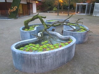 Art daniel  ost  ildy new