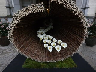 Art- daniel  ost  ildy new