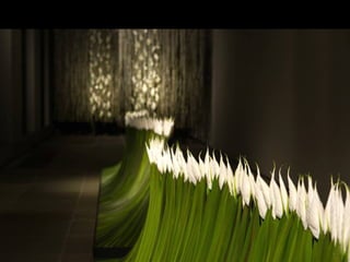 Art- daniel  ost  ildy new