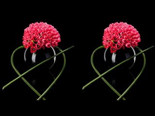 Art- daniel  ost  ildy new