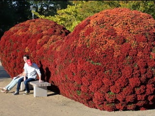 Art- daniel  ost  ildy new