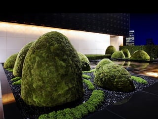 Art- daniel  ost  ildy new