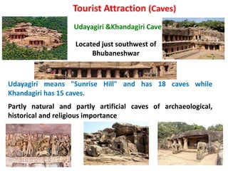 Tourist Attraction (Caves)
• Udayagiri &Khandagiri Caves
Udayagiri means "Sunrise Hill" and has 18 caves while
Khandagiri has 15 caves.
Partly natural and partly artificial caves of archaeological,
historical and religious importance
Located just southwest of
Bhubaneshwar
 