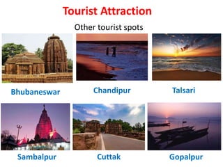 Other tourist spots
Bhubaneswar
Tourist Attraction
Talsari
Cuttak
Sambalpur Gopalpur
Chandipur
 