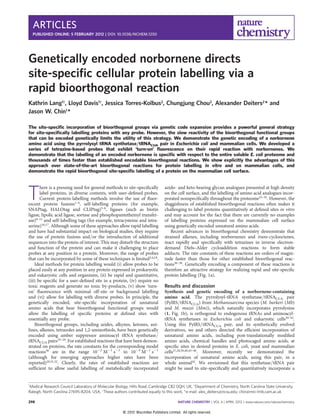 Genetically encoded norbornene directs
site-speciﬁc cellular protein labelling via a
rapid bioorthogonal reaction
Kathrin Lang1†
, Lloyd Davis1†
, Jessica Torres-Kolbus2
, Chungjung Chou2
, Alexander Deiters2
* and
Jason W. Chin1
*
The site-speciﬁc incorporation of bioorthogonal groups via genetic code expansion provides a powerful general strategy
for site-speciﬁcally labelling proteins with any probe. However, the slow reactivity of the bioorthogonal functional groups
that can be encoded genetically limits the utility of this strategy. We demonstrate the genetic encoding of a norbornene
amino acid using the pyrrolysyl tRNA synthetase/tRNACUA pair in Escherichia coli and mammalian cells. We developed a
series of tetrazine-based probes that exhibit ‘turn-on’ ﬂuorescence on their rapid reaction with norbornenes. We
demonstrate that the labelling of an encoded norbornene is speciﬁc with respect to the entire soluble E. coli proteome and
thousands of times faster than established encodable bioorthogonal reactions. We show explicitly the advantages of this
approach over state-of-the-art bioorthogonal reactions for protein labelling in vitro and on mammalian cells, and
demonstrate the rapid bioorthogonal site-speciﬁc labelling of a protein on the mammalian cell surface.
T
here is a pressing need for general methods to site-speciﬁcally
label proteins, in diverse contexts, with user-deﬁned probes.
Current protein-labelling methods involve the use of ﬂuor-
escent protein fusions1–4
, self-labelling proteins (for example,
SNAPtag, HALOtag and CLIPtag)5–8, ligases (such as biotin
ligase, lipolic acid ligase, sortase and phosphopantetheinyl transfer-
ase)9–15
and self-labelling tags (for example, tetracysteine and tetra-
serine)16,17
. Although some of these approaches allow rapid labelling
and have had substantial impact on biological studies, they require
the use of protein fusions and/or the introduction of additional
sequences into the protein of interest. This may disturb the structure
and function of the protein and can make it challenging to place
probes at any position in a protein. Moreover, the range of probes
that can be incorporated by some of these techniques is limited3,4,18.
Ideal methods for protein labelling would (i) allow probes to be
placed easily at any position in any protein expressed in prokaryotic
and eukaryotic cells and organisms, (ii) be rapid and quantitative,
(iii) be speciﬁc for a user-deﬁned site in a protein, (iv) require no
toxic reagents and generate no toxic by-products, (v) show ‘turn-
on’ ﬂuorescence with minimal off-site or background labelling
and (vi) allow for labelling with diverse probes. In principle, the
genetically encoded, site-speciﬁc incorporation of unnatural
amino acids that bear bioorthogonal functional groups would
allow the labelling of speciﬁc proteins at deﬁned sites with
essentially any probe.
Bioorthogonal groups, including azides, alkynes, ketones, ani-
lines, alkenes, tetrazoles and 1,2-aminothiols, have been genetically
encoded using amber suppressor aminoacyl tRNA synthetase/
tRNACUA pairs19–29. For established reactions that have been demon-
strated on proteins, the rate constants for the corresponding model
reactions30
are in the range 1022
M21
s21
to 1024
M21
s21
(although for emerging approaches higher rates have been
reported)29,31,32. Clearly, the rates of established reactions are
sufﬁcient to allow useful labelling of metabolically incorporated
azido- and keto-bearing glycan analogues presented at high density
on the cell surface, and the labelling of amino acid analogues incor-
porated nonspeciﬁcally throughout the proteome33–35
. However, the
sluggishness of established bioorthogonal reactions often makes it
challenging to label proteins quantitatively at deﬁned sites in vitro
and may account for the fact that there are currently no examples
of labelling proteins expressed on the mammalian cell surface
using genetically encoded unnatural amino acids.
Recent advances in bioorthogonal chemistry demonstrate that
strained alkenes, including norbornenes and trans-cyclooctenes,
react rapidly and speciﬁcally with tetrazines in inverse electron-
demand Diels–Alder cycloaddition reactions to form stable
adducts. The rate constants of these reactions are orders of magni-
tude faster than those for other established bioorthogonal reac-
tions36–38
. Genetically encoding a component of these reactions is
therefore an attractive strategy for realizing rapid and site-speciﬁc
protein labelling (Fig. 1a).
Results and discussion
Synthesis and genetic encoding of a norbornene-containing
amino acid. The pyrrolysyl-tRNA synthetase/tRNACUA pair
(PylRS/tRNACUA) from Methanosarcina species (M. barkeri (Mb)
and M. mazei (Mm)), which naturally incorporates pyrrolysine
(1, Fig. 1b), is orthogonal to endogenous tRNAs and aminoacyl-
tRNA synthetases in Escherichia coli and eukaryotic cells39–42
.
Using this PylRS/tRNACUA pair, and its synthetically evolved
derivatives, we and others directed the efﬁcient incorporation of
unnatural amino acids, including post-translationally modiﬁed
amino acids, chemical handles and photocaged amino acids, at
speciﬁc sites in desired proteins in E. coli, yeast and mammalian
cells27,28,39,40,43–46. Moreover, recently we demonstrated the
incorporation of unnatural amino acids, using this pair, in a
whole animal42
. We envisioned that this synthetase/tRNA pair
might be used to site-speciﬁcally and quantitatively incorporate a
1
Medical Research Council Laboratory of Molecular Biology, Hills Road, Cambridge CB2 0QH, UK, 2
Department of Chemistry, North Carolina State University,
Raleigh, North Carolina 27695-8204, USA, †
These authors contributed equally to this work. *e-mail: alex_deiters@ncsu.edu; chin@mrc-lmb.cam.ac.uk
ARTICLES
PUBLISHED ONLINE: 5 FEBRUARY 2012 | DOI: 10.1038/NCHEM.1250
NATURE CHEMISTRY | VOL 4 | APRIL 2012 | www.nature.com/naturechemistry298
© 2012 Macmillan Publishers Limited. All rights reserved.
 
