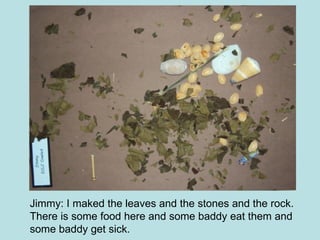 Jimmy: I maked the leaves and the stones and the rock. There is some food here and some baddy eat them and some baddy get sick. 