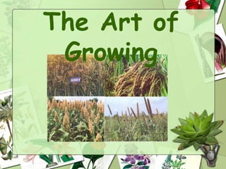 The Art of
Growing
 