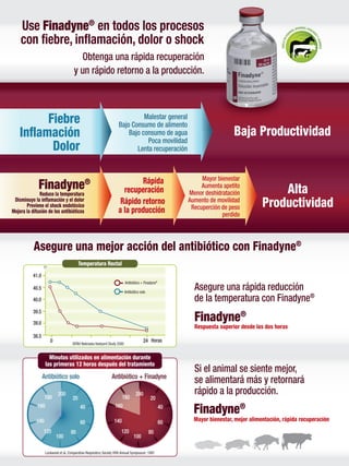 Art.plegable2 t MSD Finca Productiva Salud Del Hato