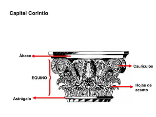 Capitel Corintio Ábaco Astrágalo EQUINO Caulículos Hojas de acanto 