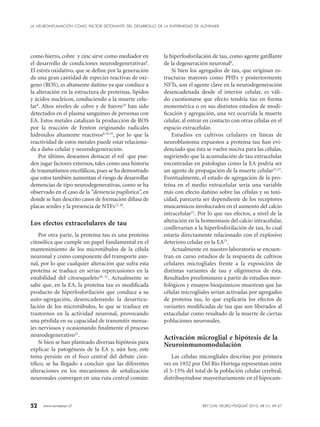 52 www.sonepsyn.cl
como hierro, cobre y zinc sirve como mediador en
el desarrollo de condiciones neurodegenerativas8
.
El estrés oxidativo, que se define por la generación
de una gran cantidad de especies reactivas de oxí-
geno (ROS), es altamente dañino ya que conduce a
la alteración en la estructura de proteínas, lípidos
y ácidos nucleicos, conduciendo a la muerte celu-
lar8
. Altos niveles de cobre y de hierro18
han sido
detectados en el plasma sanguíneo de personas con
EA. Estos metales catalizan la producción de ROS
por la reacción de Fenton originando radicales
hidroxilos altamente reactivos8,18,19
, por lo que la
reactividad de estos metales puede estar relaciona-
da a daño celular y neurodegeneración.
Por último, deseamos destacar el rol que pue-
den jugar factores externos, tales como una historia
de traumatismos encefálicos, pues se ha demostrado
que estos también aumentan el riesgo de desarrollar
demencias de tipo neurodegenerativas, como se ha
observado en el caso de la “demencia pugilistica”, en
donde se han descrito casos de formación difusa de
placas seniles y la presencia de NTFs12, 20
.
Los efectos extracelulares de tau
Por otra parte, la proteína tau es una proteína
citosólica que cumple un papel fundamental en el
mantenimiento de los microtúbulos de la célula
neuronal y como componente del transporte axo-
nal, por lo que cualquier alteración que sufra esta
proteína se traduce en serias repercusiones en la
estabilidad del citoesqueleto10, 21
. Actualmente se
sabe que, en la EA, la proteína tau es modificada
producto de hiperfosforilación que conduce a su
auto-agregación, desencadenando la desarticu-
lación de los microtúbulos, lo que se traduce en
trastornos en la actividad neuronal, provocando
una pérdida en su capacidad de transmitir mensa-
jes nerviosos y ocasionando finalmente el proceso
neurodegenerativo22
.
Si bien se han planteado diversas hipótesis para
explicar la patogénesis de la EA y, aún hoy, este
tema persiste en el foco central del debate cien-
tífico, se ha llegado a concluir que las diferentes
alteraciones en los mecanismos de señalización
neuronales convergen en una ruta central común:
la hiperfosforilación de tau, como agente gatillante
de la degeneración neuronal6
.
Si bien los agregados de tau, que originan es-
tructuras mayores como PHFs y posteriormente
NFTs, son el agente clave en la neurodegeneración
desencadenada desde el interior celular, es váli-
do cuestionarse que efecto tendría tau en forma
monomérica o en sus distintos estadios de modi-
ficación y agregación, una vez ocurrida la muerte
celular, al entrar en contacto con otras células en el
espacio extracelular.
Estudios en cultivos celulares en líneas de
neuroblastoma expuestos a proteína tau han evi-
denciado que ésta se vuelve nociva para las células,
sugiriendo que la acumulación de tau extracelular
encontradas en patologías como la EA podría ser
un agente de propagación de la muerte celular21,23
.
Eventualmente, el estado de agregación de la pro-
teína en el medio extracelular seria una variable
más con efecto dañino sobre las células y su toxi-
cidad, parecería ser dependiente de los receptores
muscarínicos involucrados en el aumento del calcio
intracelular21
. Por lo que sus efectos, a nivel de la
alteración en la homeostasis del calcio intracelular,
conllevarían a la hiperfosforilación de tau, lo cual
estaría directamente relacionado con el explosivo
deterioro celular en la EA23
.
Actualmente en nuestro laboratorio se encuen-
tran en curso estudios de la respuesta de cultivos
celulares microgliales frente a la exposición de
distintas variantes de tau y oligómeros de ésta.
Resultados preeliminares a partir de estudios mor-
fológicos y ensayos bioquímicos muestran que las
células microgliales serían activadas por agregados
de proteína tau, lo que explicaría los efectos de
variantes modificadas de tau que son liberados al
extacelular como resultado de la muerte de ciertas
poblaciones neuronales.
Activación microglial e hipótesis de la
Neuroinmunomodulación
Las células microgliales descritas por primera
vez en 1932 por Del Río Hortega representan entre
el 5-15% del total de la población celular cerebral,
distribuyéndose mayoritariamente en el hipocam-
LA NEUROINFLAMACIÓN COMO FACTOR DETONANTE DEL DESARROLLO DE LA ENFERMEDAD DE ALZHEIMER
REV CHIL NEURO-PSIQUIAT 2010; 48 (1): 49-57
 