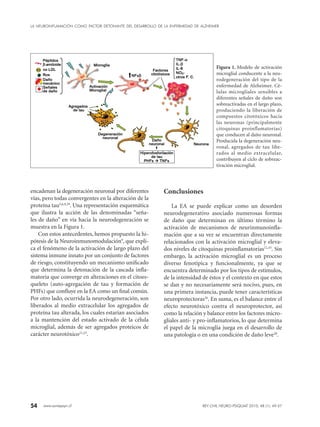 54 www.sonepsyn.cl
encadenan la degeneración neuronal por diferentes
vías, pero todas convergentes en la alteración de la
proteína tau5,6,9,29
. Una representación esquemática
que ilustra la acción de las denominadas “seña-
les de daño” en vía hacia la neurodegenración se
muestra en la Figura 1.
Con estos antecedentes, hemos propuesto la hi-
pótesis de la Neuroinmunomodulación9
, que expli-
ca el fenómeno de la activación de largo plazo del
sistema inmune innato por un conjunto de factores
de riesgo, constituyendo un mecanismo unificado
que determina la detonación de la cascada infla-
matoria que converge en alteraciones en el citoes-
queleto (auto-agregación de tau y formación de
PHFs) que confluye en la EA como un final común.
Por otro lado, ocurrida la neurodegeneración, son
liberados al medio extracelular los agregados de
proteína tau alterada, los cuales estarían asociados
a la mantención del estado activado de la célula
microglial, además de ser agregados proteicos de
carácter neurotóxico21,23
.
Conclusiones
La EA se puede explicar como un desorden
neurodegenerativo asociado numerosas formas
de daño que determinan en último término la
activación de mecanismos de neurinmunoinfla-
mación que a su vez se encuentran directamente
relacionados con la activación microglial y eleva-
dos niveles de citoquinas proinflamatorias12,33
. Sin
embargo, la activación microglial es un proceso
diverso fenotípica y funcionalmente, ya que se
encuentra determinado por los tipos de estímulos,
de la intensidad de éstos y el contexto en que estos
se dan y no necesariamente será nocivo, pues, en
una primera instancia, puede tener características
neuroprotectoras26
. En suma, es el balance entre el
efecto neurotóxico contra el neuroprotector, así
como la relación y balance entre los factores micro-
gliales anti- y pro-inflamatorios, lo que determina
el papel de la microglia juega en el desarrollo de
una patología o en una condición de daño leve28
.
Figura 1. Modelo de activación
microglial conducente a la neu­
ro­degeneración del tipo de la
enfermedad de Alzheimer. Cé­
lulas microgliales sensibles a
diferentes señales de daño son
sobreactivadas en el largo plazo,
produciendo la liberación de
compuestos citotóxicos hacia
las neuronas (principalmente
citoquinas proinflamatorias)
que conducen al daño neuronal.
Producida la degeneración neu­
ronal, agregados de tau libe­
ra­dos al medio extracelular,
con­tribuyen al ciclo de sobre­ac­
tivación microglial.
LA NEUROINFLAMACIÓN COMO FACTOR DETONANTE DEL DESARROLLO DE LA ENFERMEDAD DE ALZHEIMER
REV CHIL NEURO-PSIQUIAT 2010; 48 (1): 49-57
 