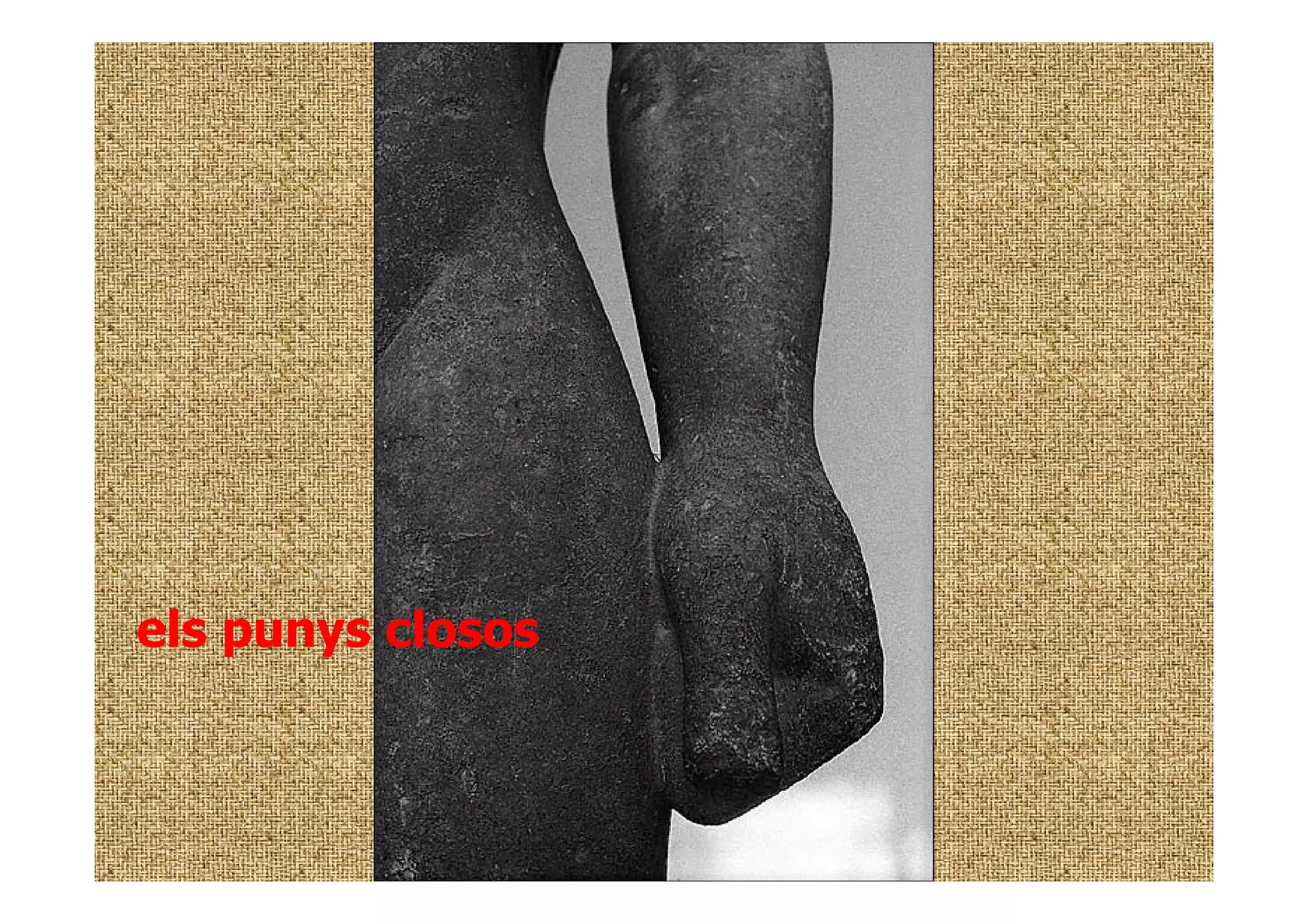els punys closos
 
