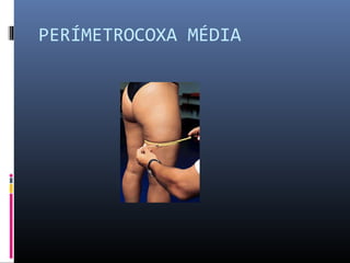 PERÍMETROCOXA MÉDIA 
 