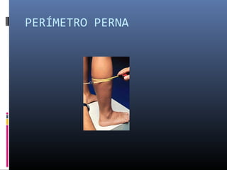 PERÍMETRO PERNA 
 