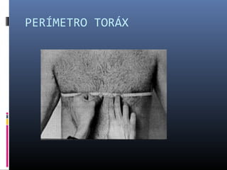 PERÍMETRO TORÁX 
 